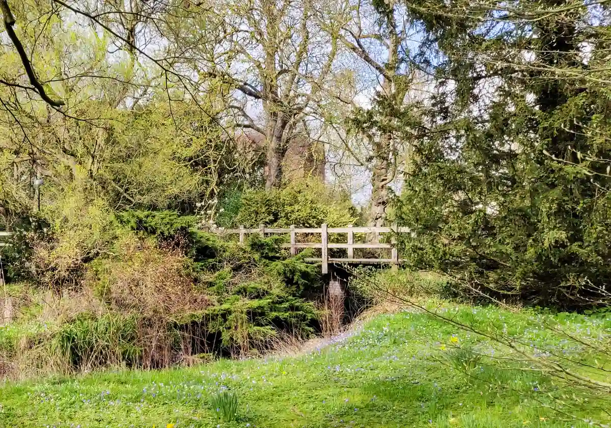 "I Want to Do a Natural Sciences Degree – Do I Need A Level Maths?"